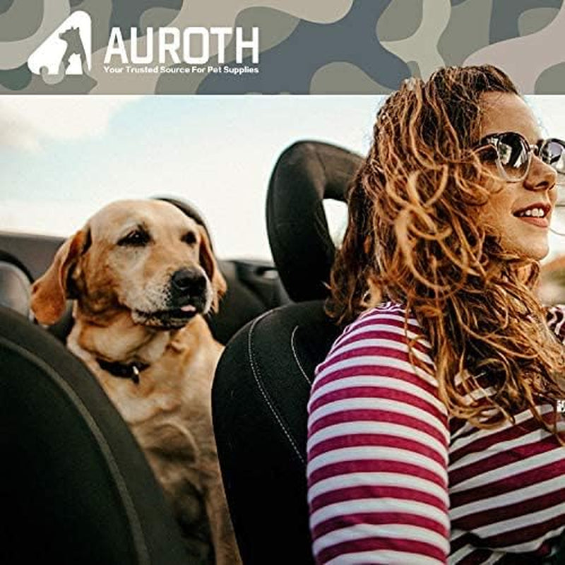 Heavy Duty Bungee Dog Leash for Large Breeds - 6FT with 2 Padded Handles, Shock Absorption, No Pull Training, Red